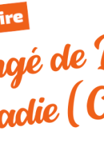 Flyer Campagne santé au travail - Fonctionnaire - Le congé de longue maladie